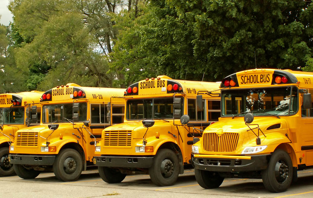 School buses